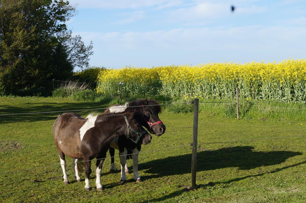Lokken Farm Holiday Quarto foto