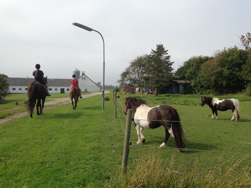 Lokken Farm Holiday Exterior foto